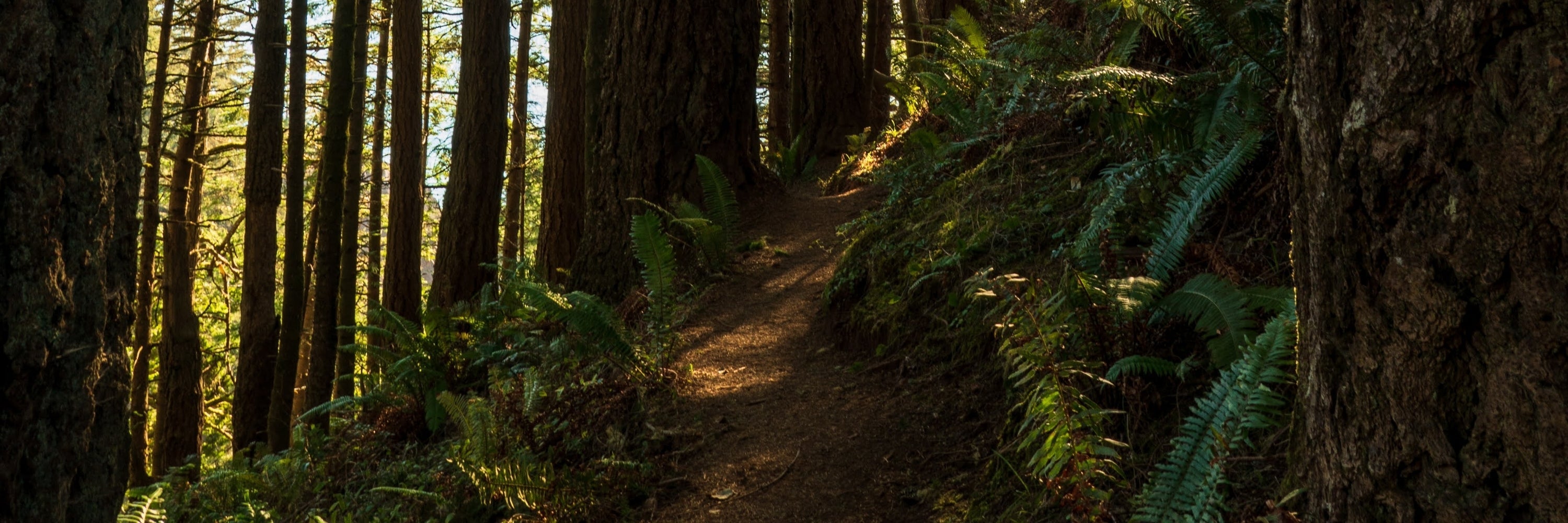 Signature Collection