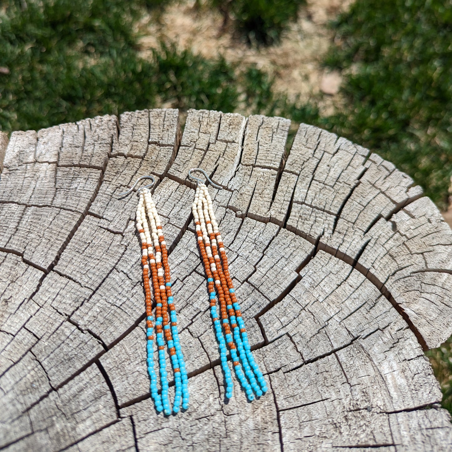 Glossy Southwest Wander Beaded Fringe Earrings