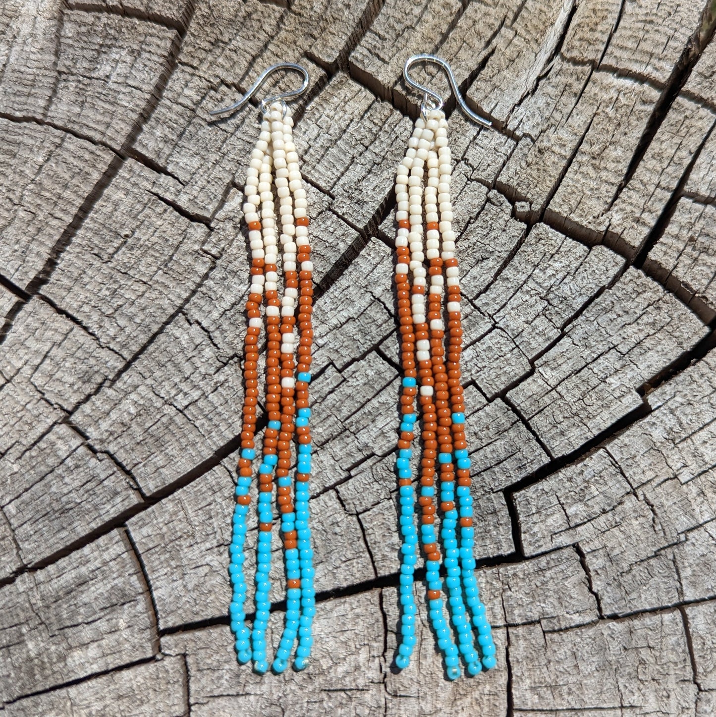 Glossy Southwest Wander Beaded Fringe Earrings