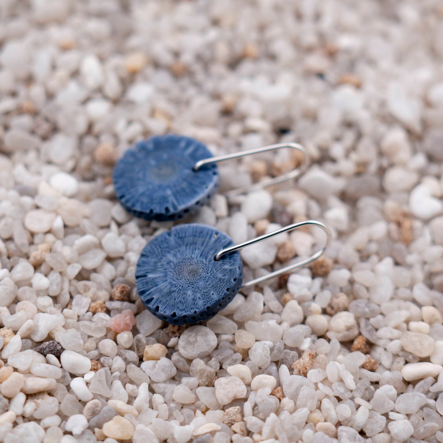 Blue Sponge Coral Round Dangles