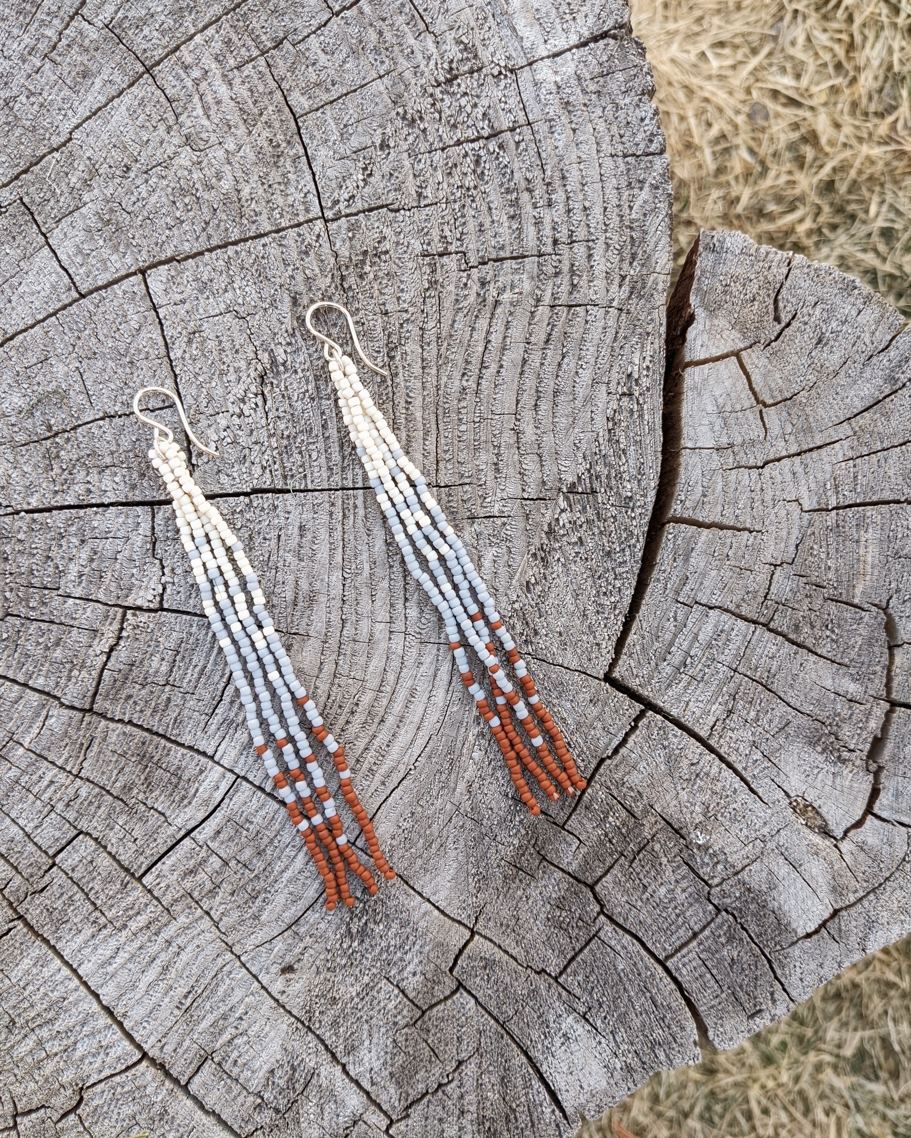 Winter Canyon Long Fringe Beaded Earrings