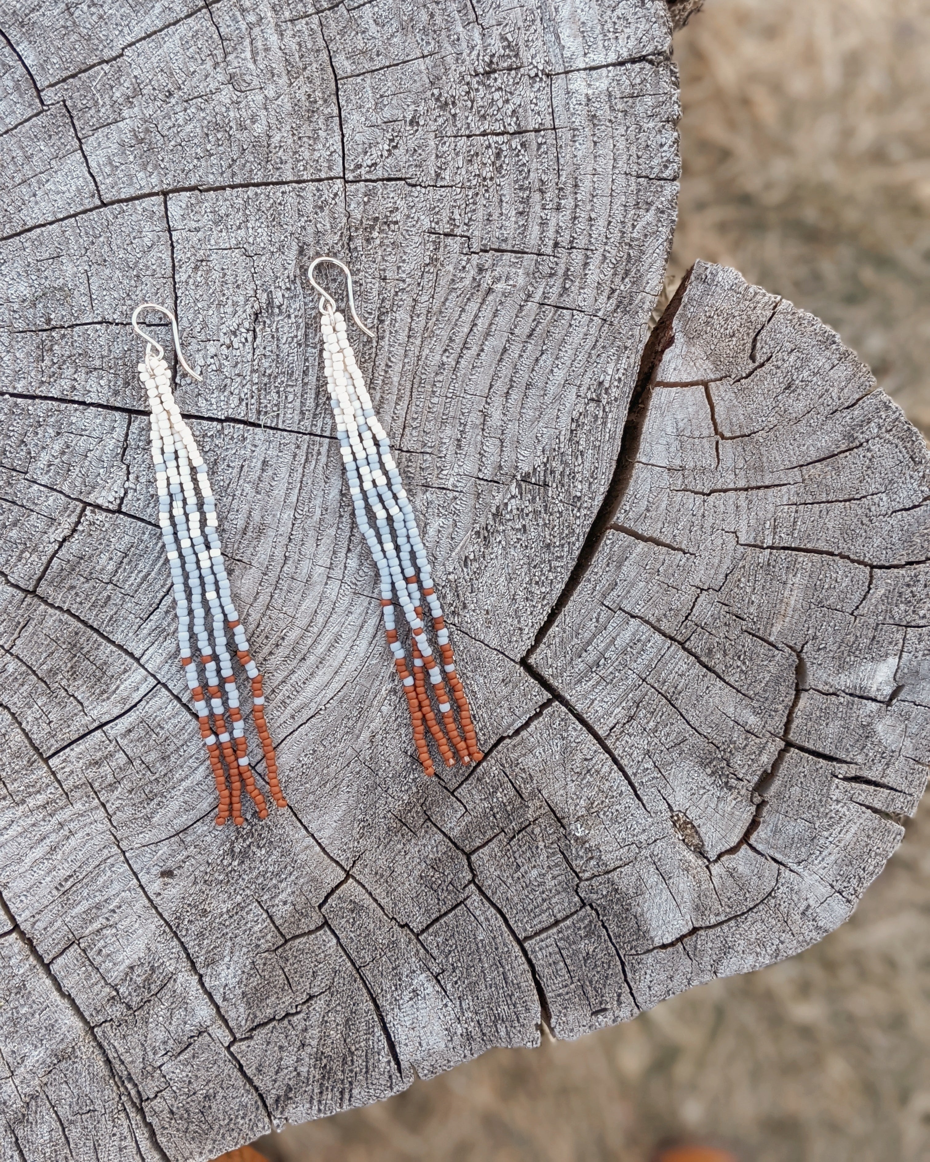 Winter Canyon Long Fringe Beaded Earrings
